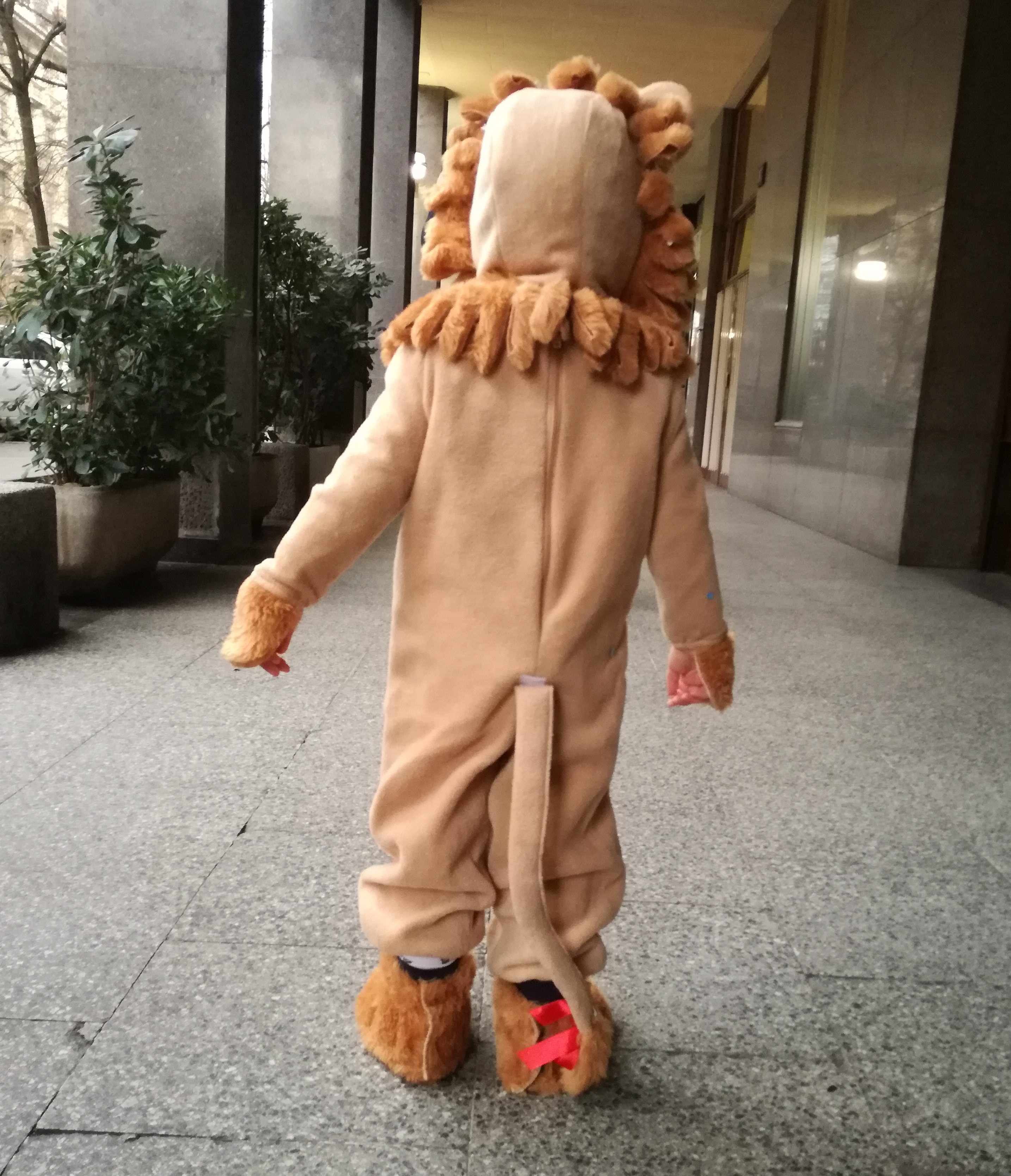 costumi di carnevale bambini leone
